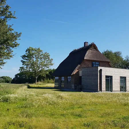 Reetdorf Geltinger Birk Atelierhaus Feenkraut Holiday home *